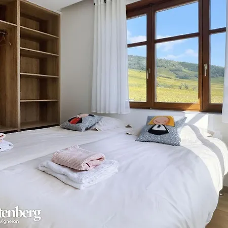 Combo Praelatenberg 2 Dans La Meme Maison Lejlighed Orschwiller