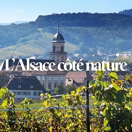 Combo Praelatenberg 2 Dans La Meme Maison