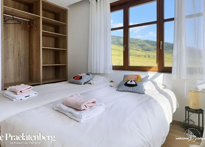 Combo Praelatenberg 2 Dans La Meme Maison 아파트 오르슈윌레르