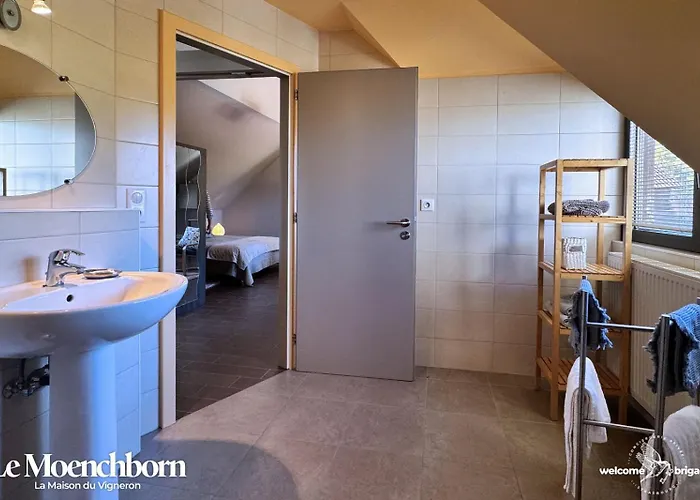 Combo Praelatenberg 2 Dans La Meme Maison 아파트 오르슈윌레르