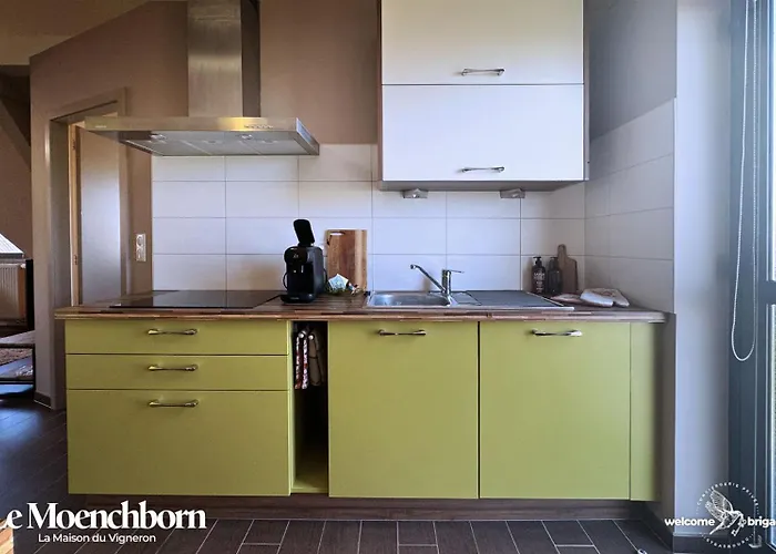 Combo Praelatenberg 2 Dans La Meme Maison 아파트 오르슈윌레르