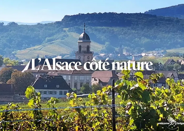 Combo Praelatenberg 2 Dans La Meme Maison