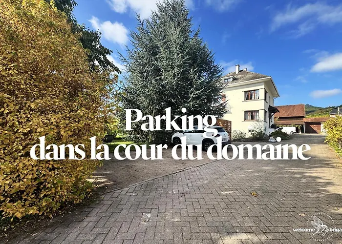 Combo Praelatenberg 2 Dans La Meme Maison * 오르슈윌레르